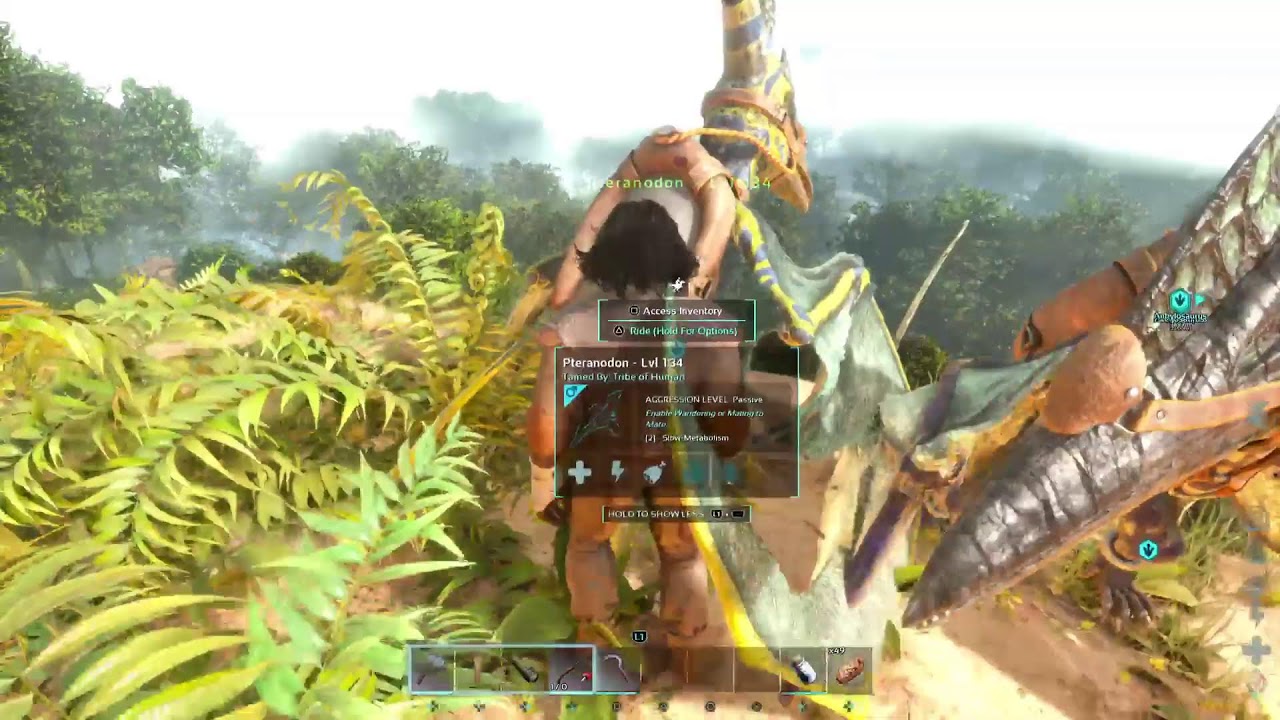 Ark