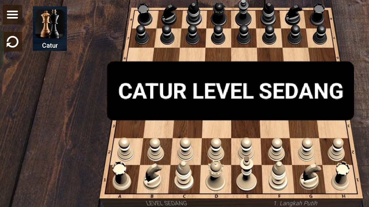 Main Catur Level Sedang - Part 1