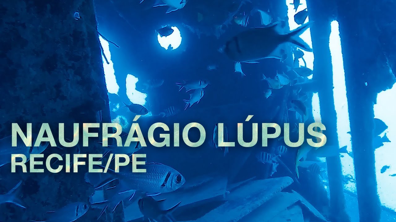 Naufrágio Lúpus - Recife/PE