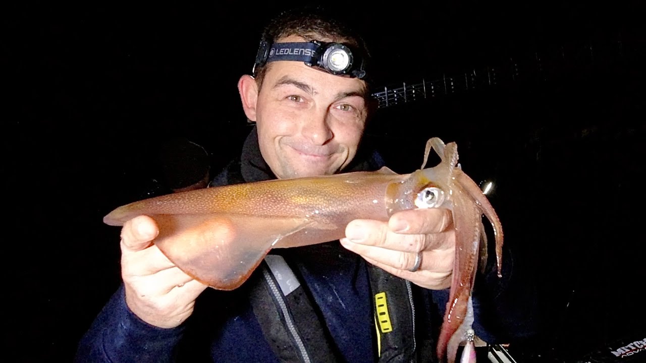 Sea Fishing for Squid - How to catch Squid - Squid jigs and lure rigs | The Fish Locker