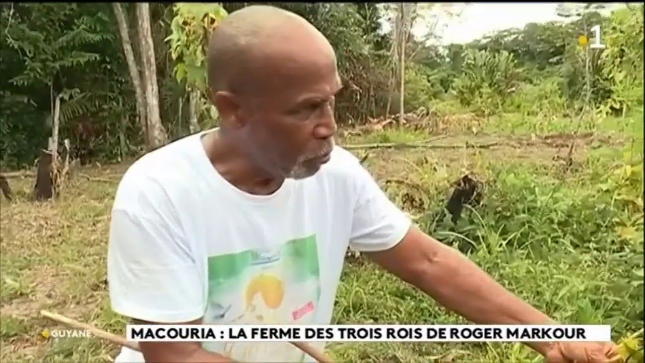 Macouria : la ferme des trois rois de Roger Markour