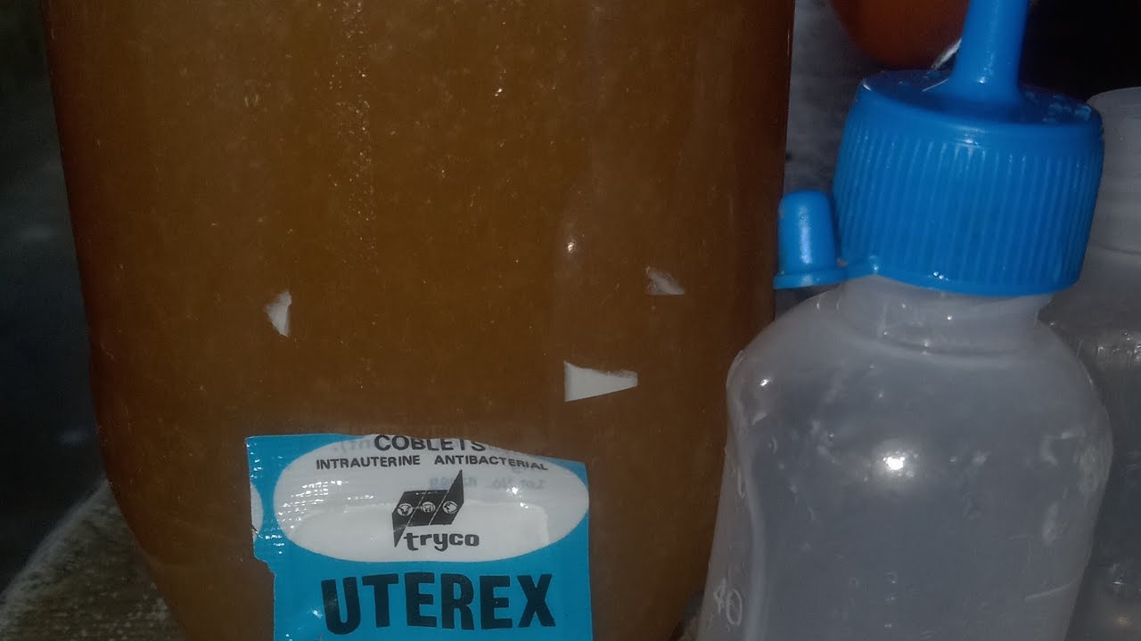 ANO ANG DAPAT GAWIN SA INAHING BABOY NA MAY INTERNAL INFECTION?#piggy