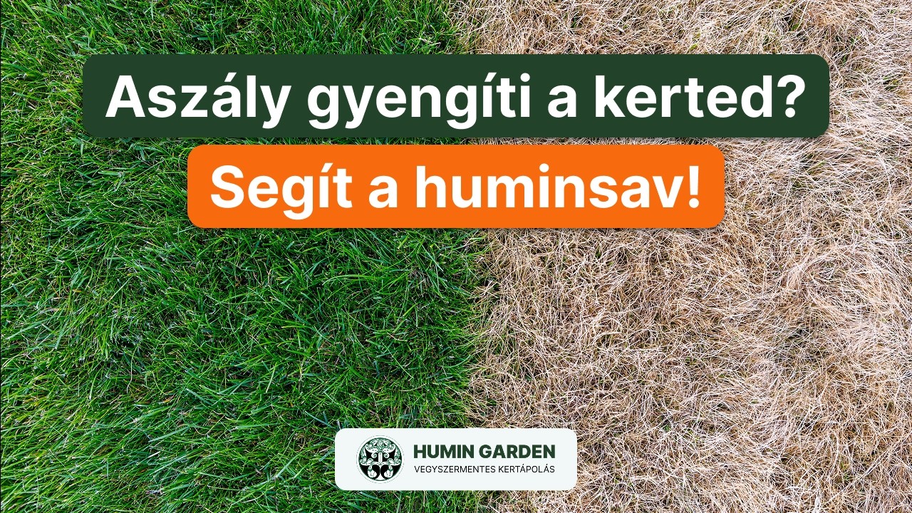 Humin Garden: hidroliz&aacute;lt Huminsav, Fulv&oacute;sav &eacute;s K&aacute;lium &ndash; a komplex talajkondicion&aacute;l&oacute; rendszer