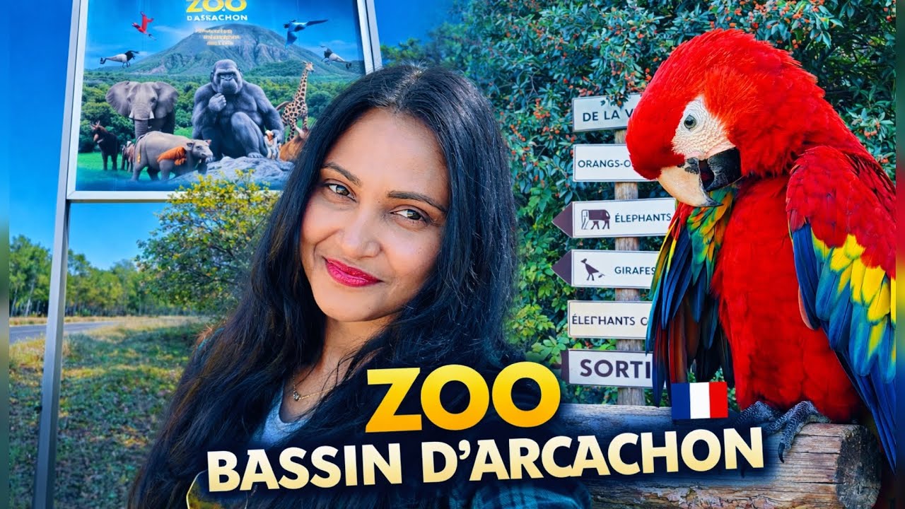  France Zoo Experience 🇫🇷🦁| නිදහස කියන්නේ මොකක්ද? | Sinhala Solo Travel Vlog | Monkey Munch 