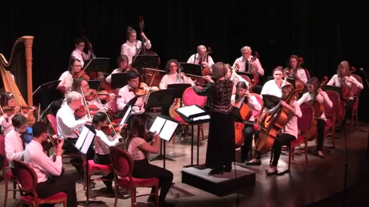 Traverse Symphony Orchestra Civic String Ensembles - 