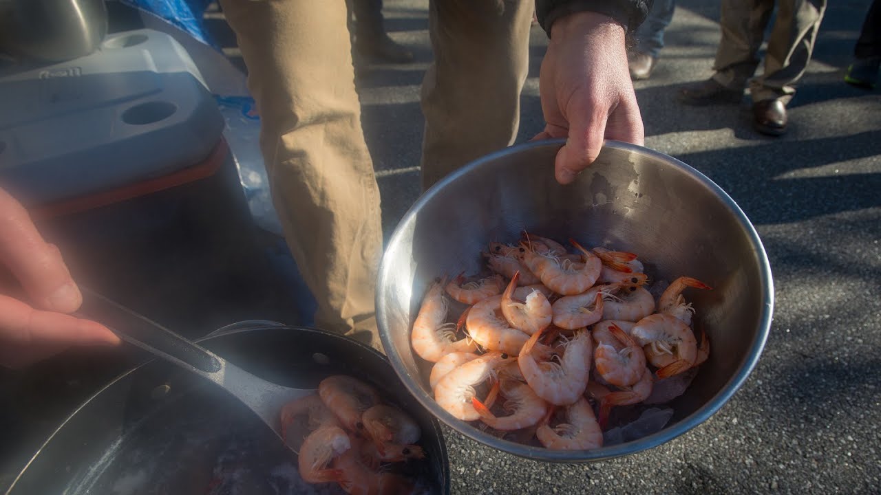 Researchers Grow Fresh, Local Shrimp