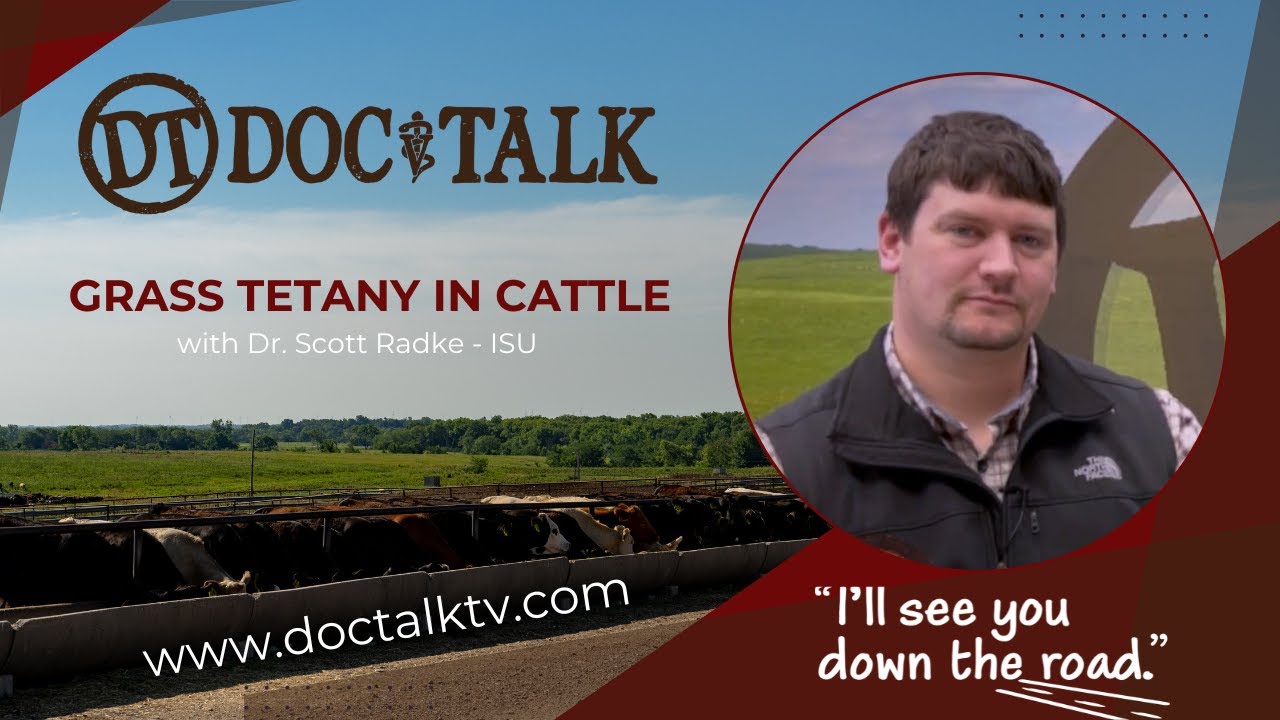 DocTalk Ep 564 - Grass Tetany in Cattle with Dr. Scott Radke