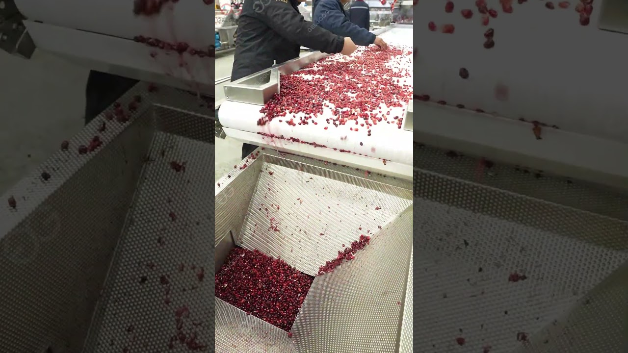 Pomegranate Peeling And Packaging Processing Line
