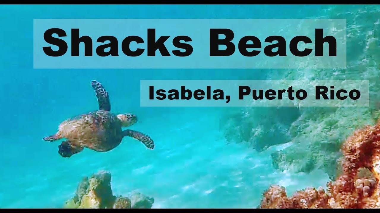 Snorkeling Shacks Beach, Isabela, Puerto Rico  22 SEP 18