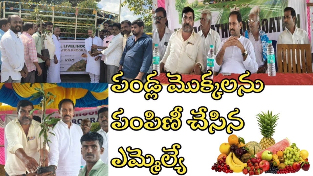 నల్లచెరువు: సంజీవుపల్లి గ్రామంలో పండ్ల మొక్కలను పంపిణీ చేసిన ఎమ్మెల్యే కందికుంట వెంకటప్రసాద్#kvp#mla