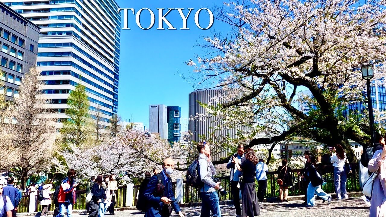 Top 10 beautiful places in Japan |  Yasukuni Jinja  in Tokyo Japan【靖國神社】|  #explorejapan #japan #4k