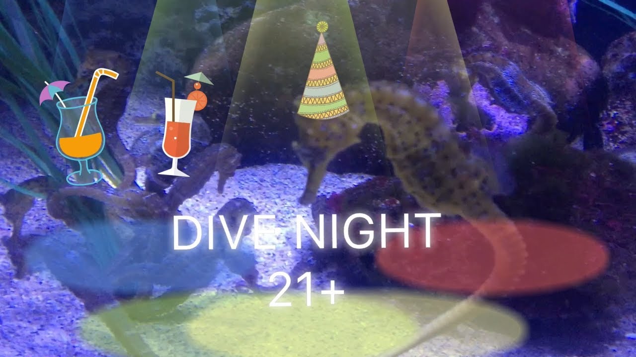 Dive Night at the Aquarium of the Pacific