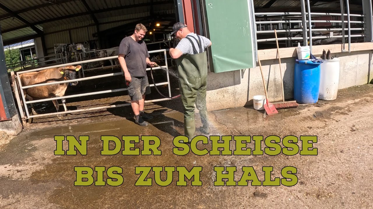 Farm-Vlog #28 Wir stehen buchstäblich bis zum Hals in der Scheiße