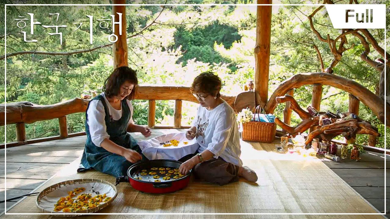 [Full] 한국기행 - 비밀의 숲 - 제5부 인제 점봉산 원시림과 곰배령