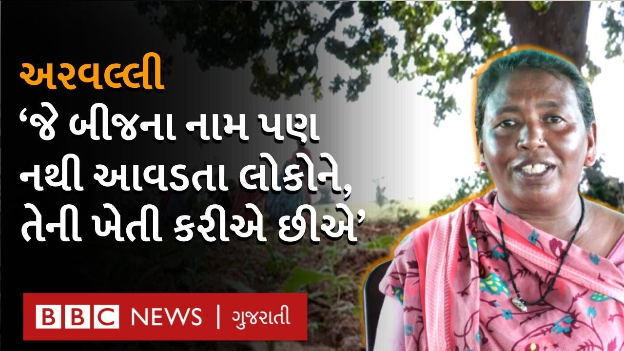 Gujarat ની આ મહિલાઓ એવી ખેતી કરે છે જેવી બીજું કોઈ નથી કરતું : Millet Farming