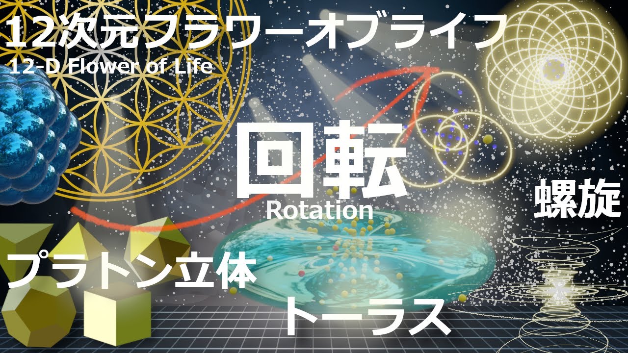 【12次元正単体~フラワーオブライフ~】プラトン立体だけでなくトーラスや螺旋も出現