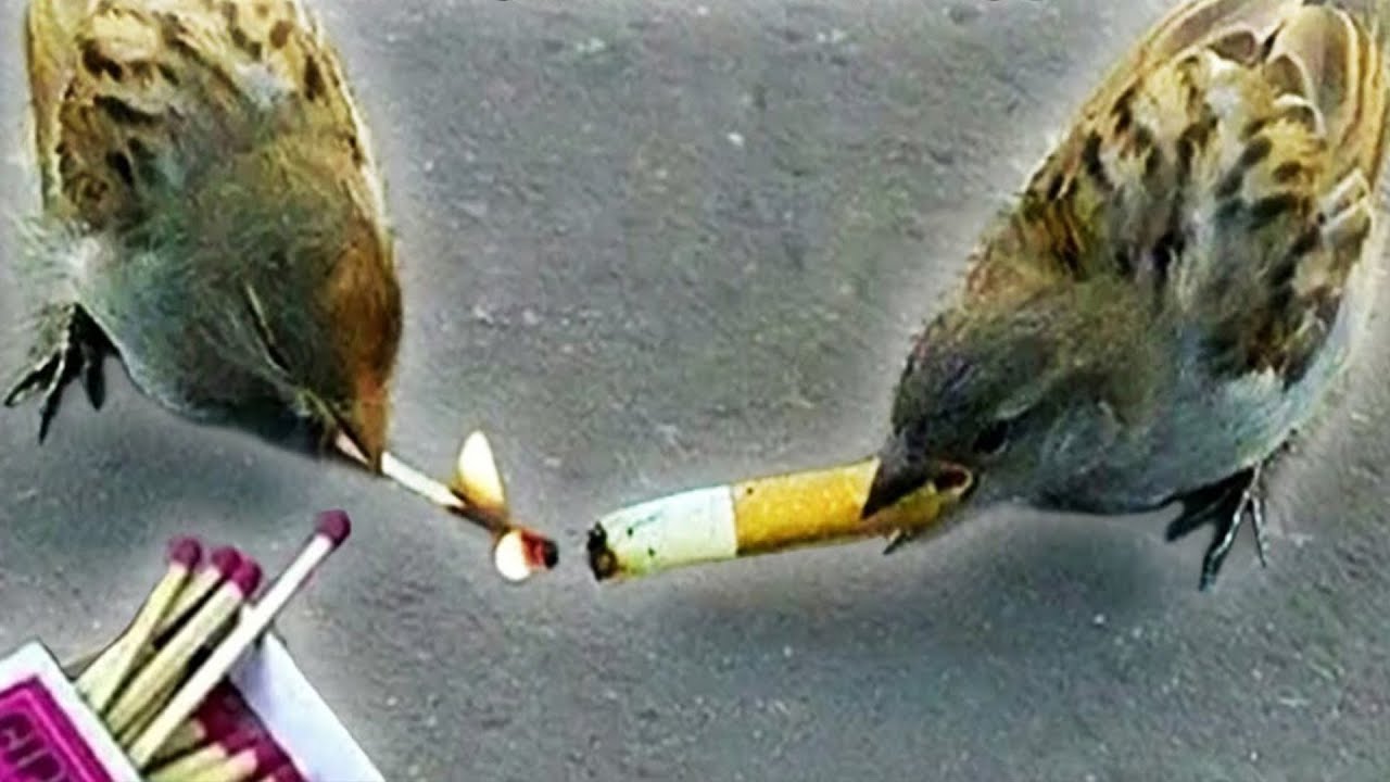 ALL OF r/BLURSEDIMAGES