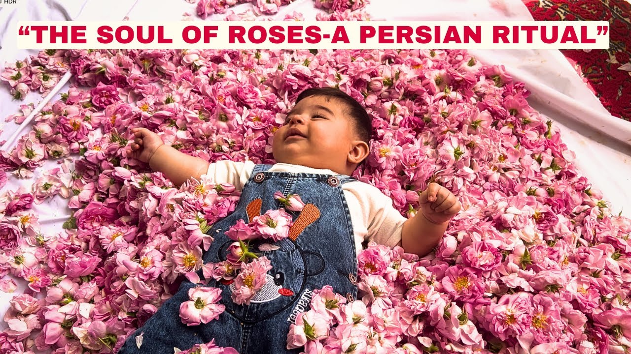 Pure Persian Rose Water - A Magical Morning in Iran!