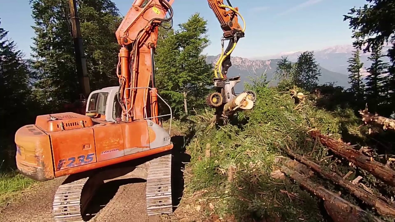 Forestry Work - Cable Yarder + Harvester Head. Trentino A.A., IT