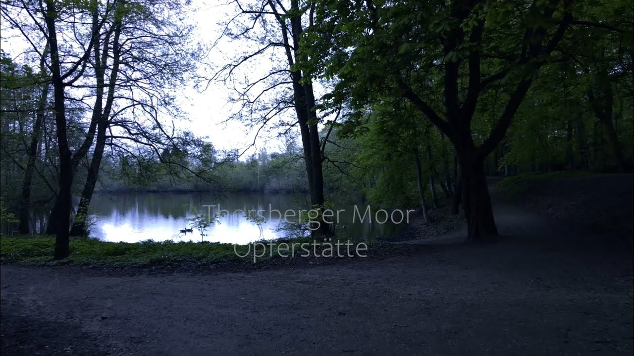 Thorsberger Moor und Roter Maas