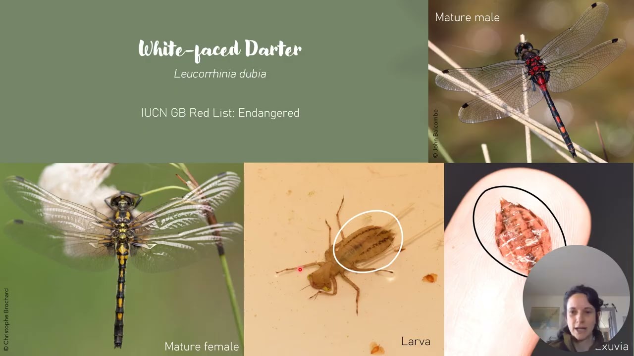 Cairngorms to Coast by Genevieve Tomkins