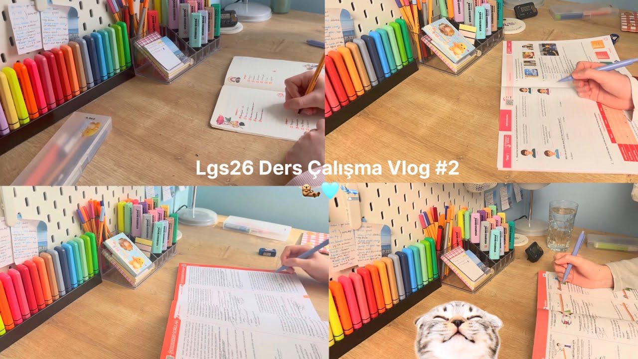Lgs 2026 Ders &Ccedil;alışma G&uuml;nl&uuml;ğ&uuml;m #2 🩷 / Blacklola 