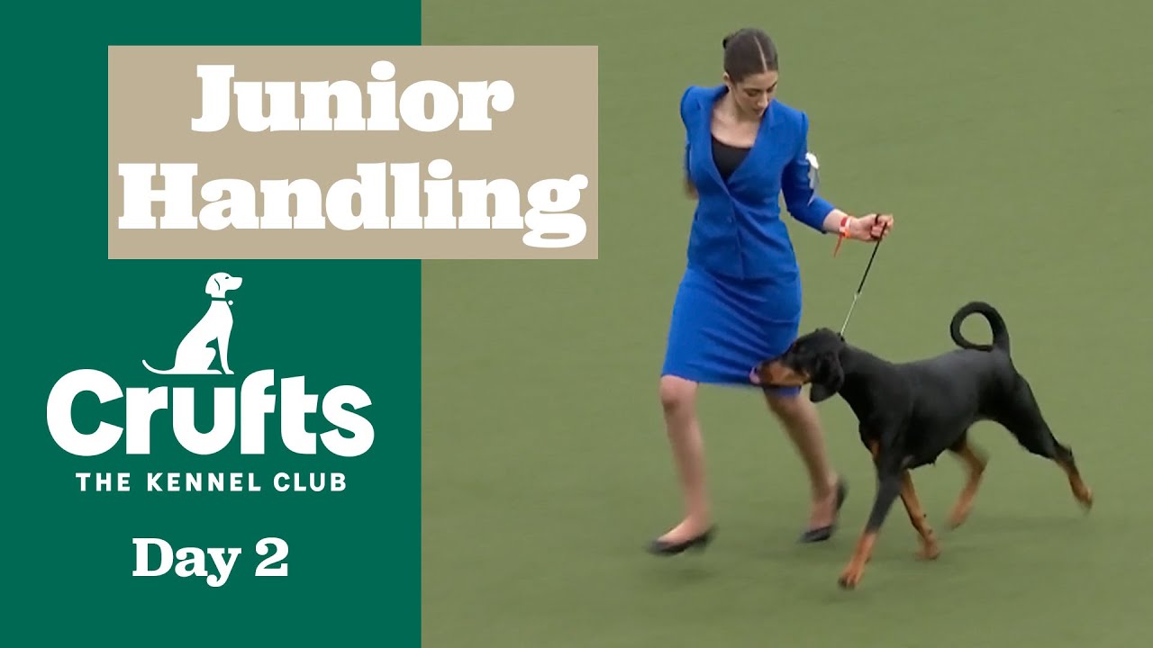 Paw-some Junior Handlers Take the Stage! 🐾 Joe Cartledge Memorial - Part One | Crufts 2025