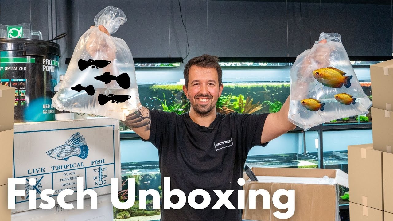 Guppys im XXL Fisch Unboxing!