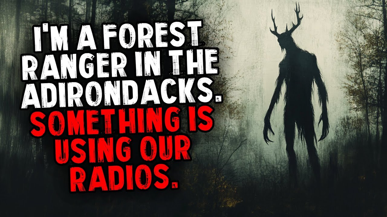 I'm a Forest Ranger in the Adirondacks. Something is using Our Radios.