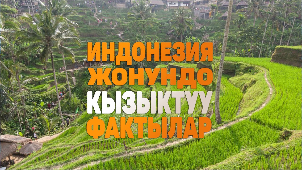Индонезия жонундо кызыктуу фактылар | Бали аралынын кандай сырлары бар?