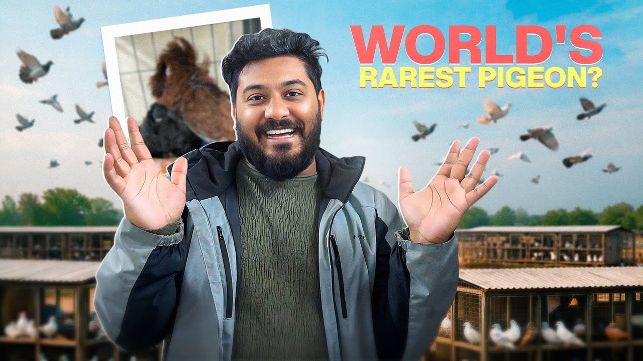 অল্পের জন্য প্রাণে বেঁচে গেলাম। 🏍️😷