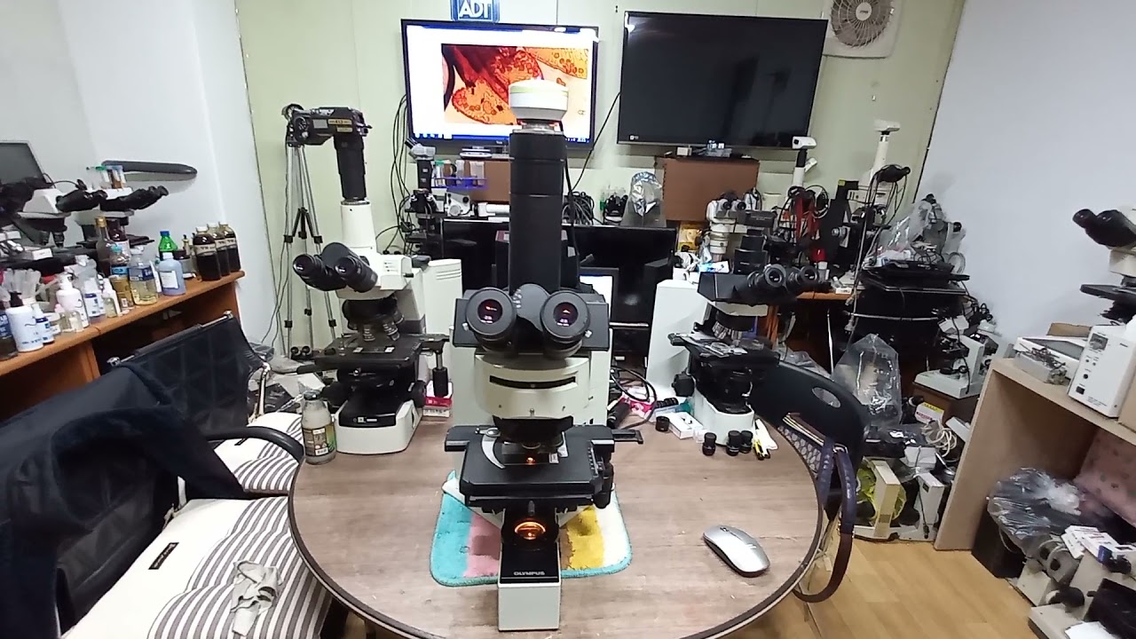 OLYMPUS BX50 TRINOCULAR CCD FLUORESCENCE  MICROSCOPE. 올림프스 BX50 3안CCD 형광현미경