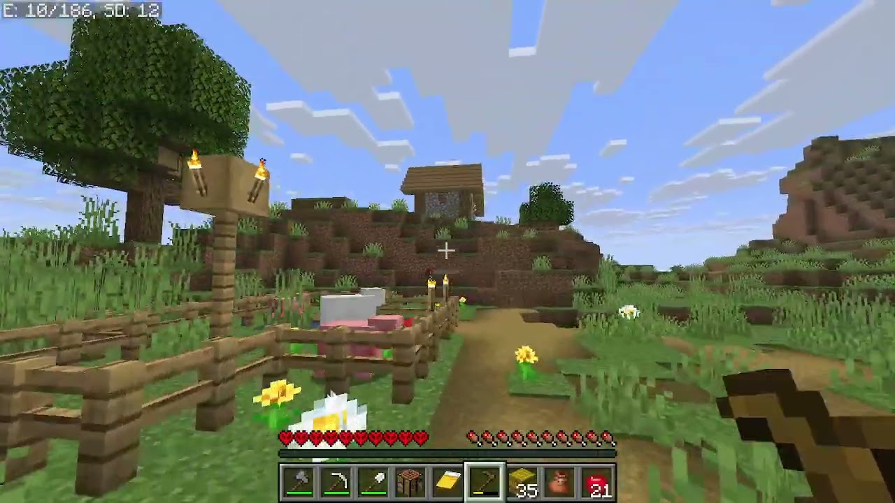 Minecraft - Day 1