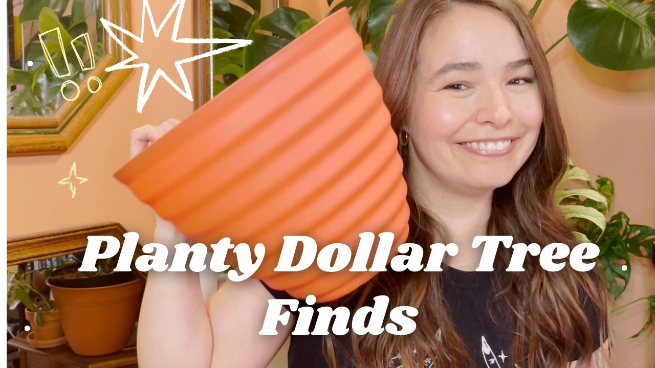 Planty Dollar Tree Finds