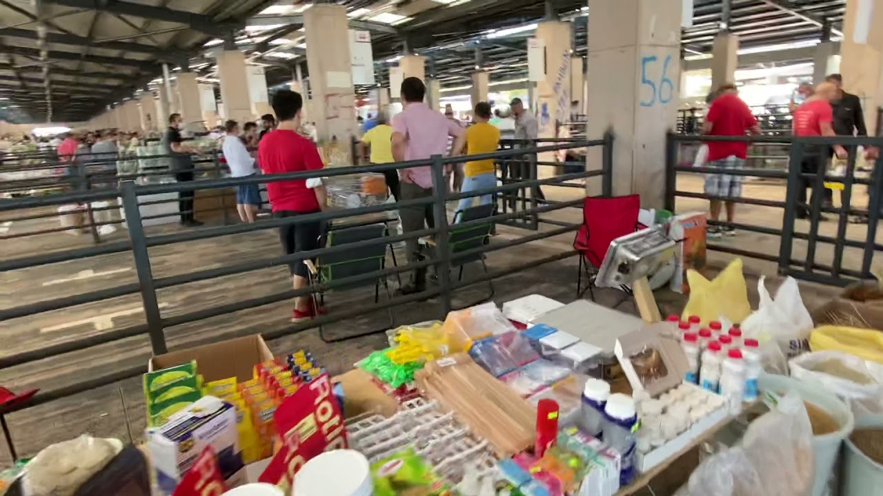 تغطية لسوق الطيور في مدينة بورصة تخيل ماذا وجدت !!