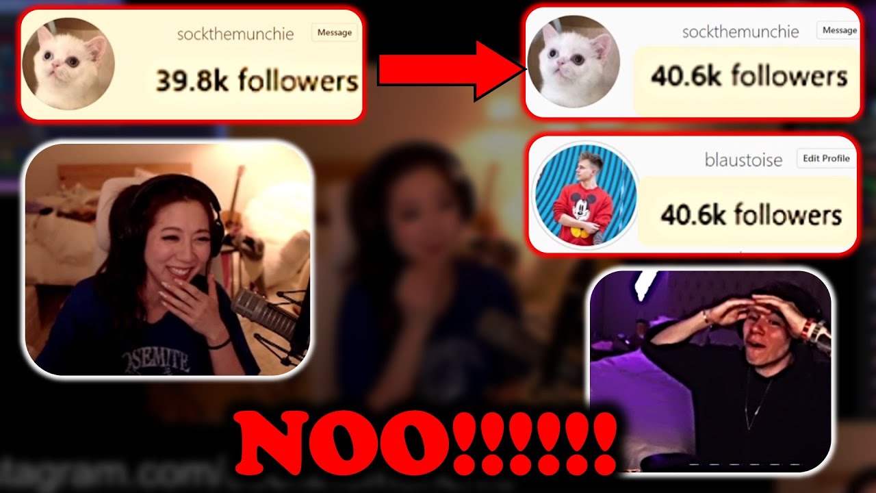 Fuslie reacts to Blaustoise having a MENTAL BREAKDOWN after getting ratio'd by Fuslie's cat again