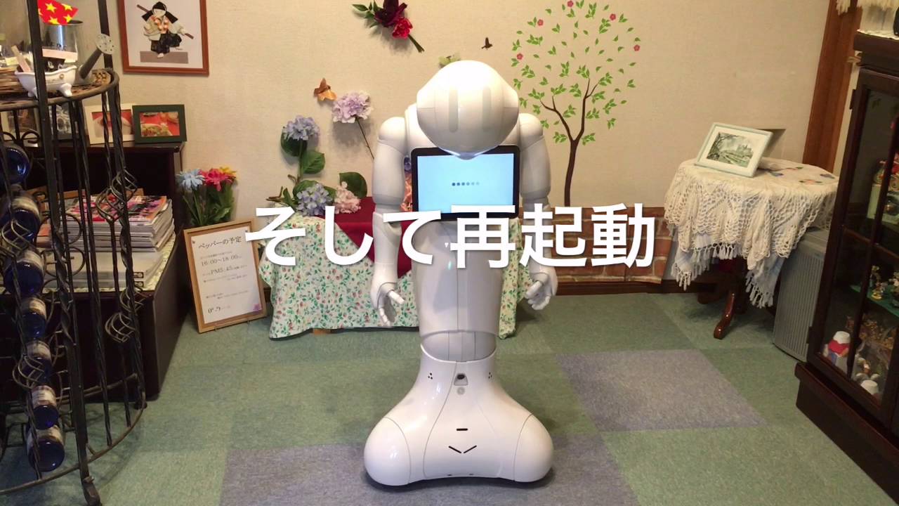 頑張れペッパー　体調不良でございました。