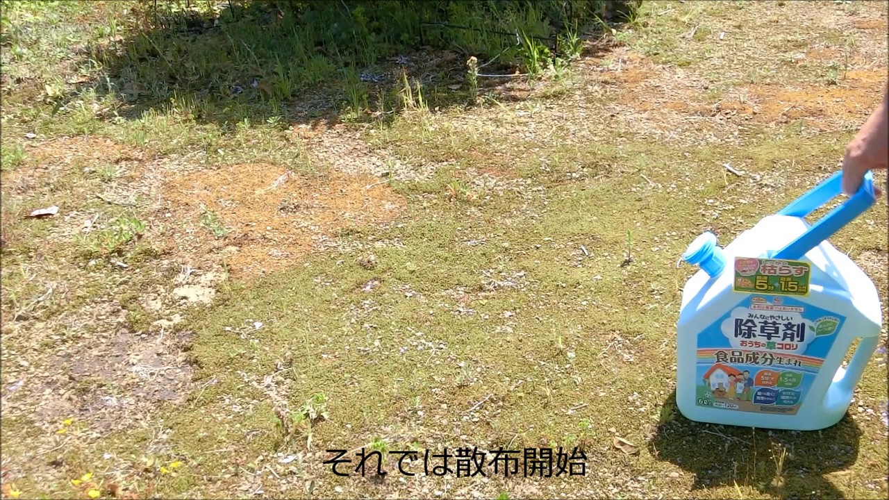 自宅の庭に生えたコケへ除草剤を散布