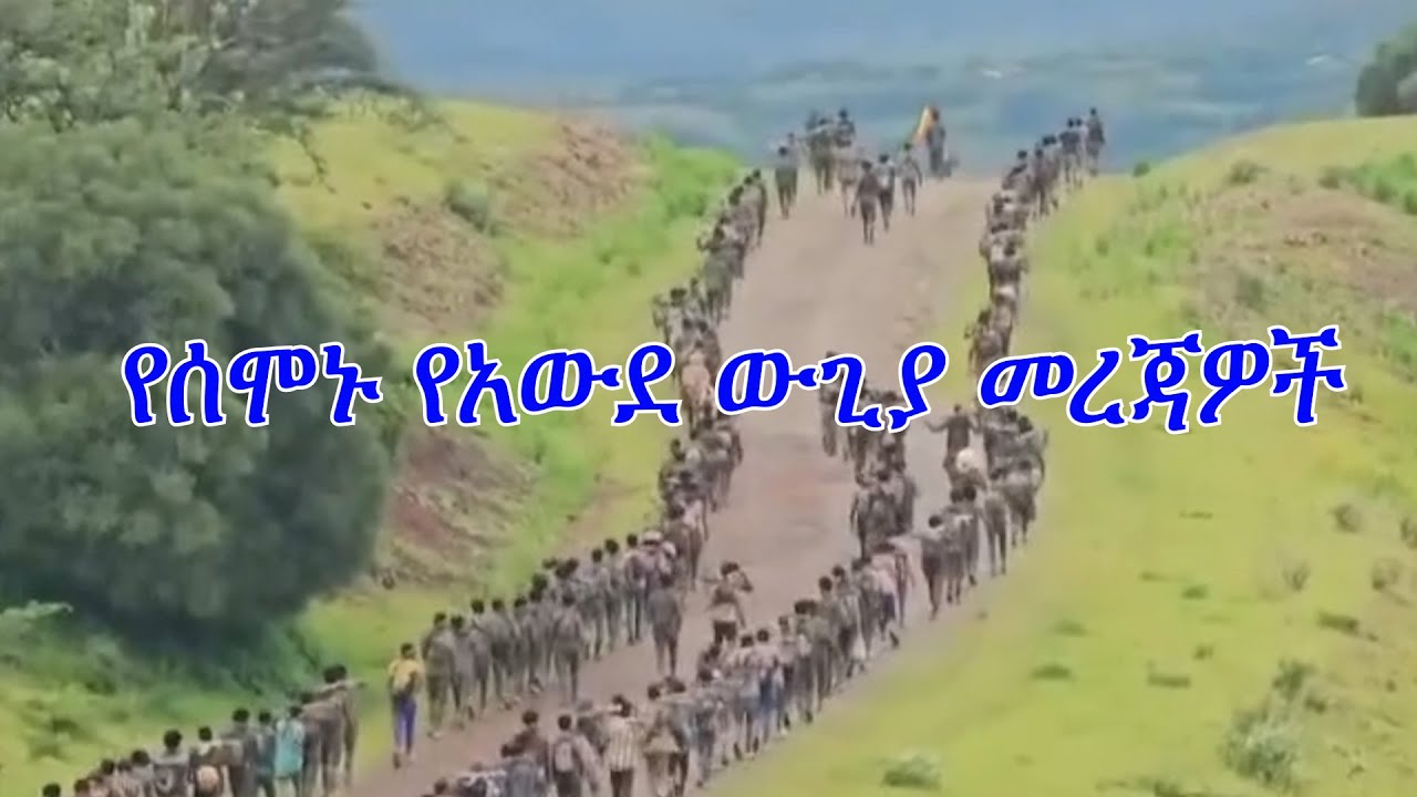 Anchor Media የሰሞኑ የአውደ ውጊያ መረጃዎች