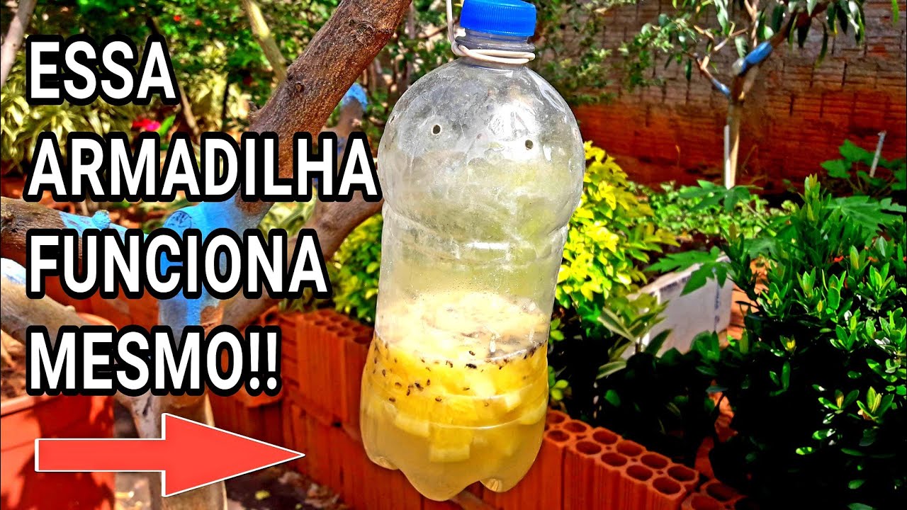 ARMADILHA PARA CAPTURAR MOSCA DA FRUTA E MOSCA BRANCA FUNCIONA MESMO | VEJA NO VÍDEO!!