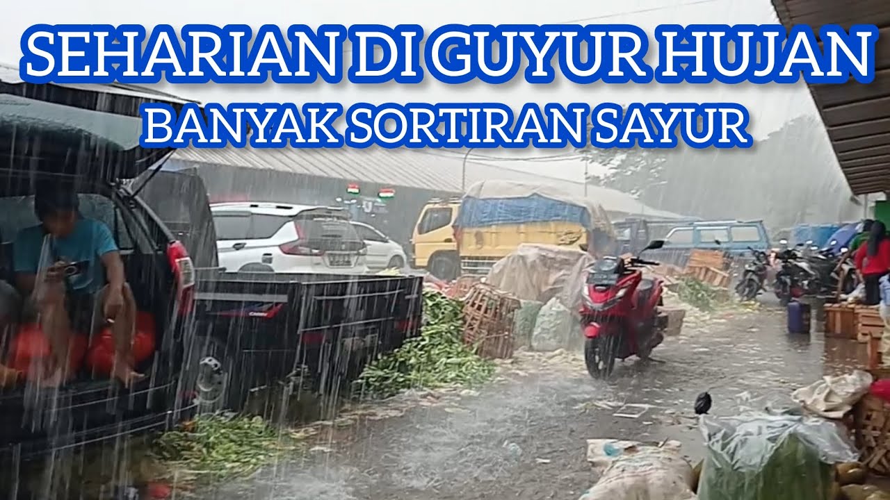 SEHARIAN DIGUYUR HUJAN, BANYAK SORTIRAN SAYUR 🫜🥬🫑🥦🥒