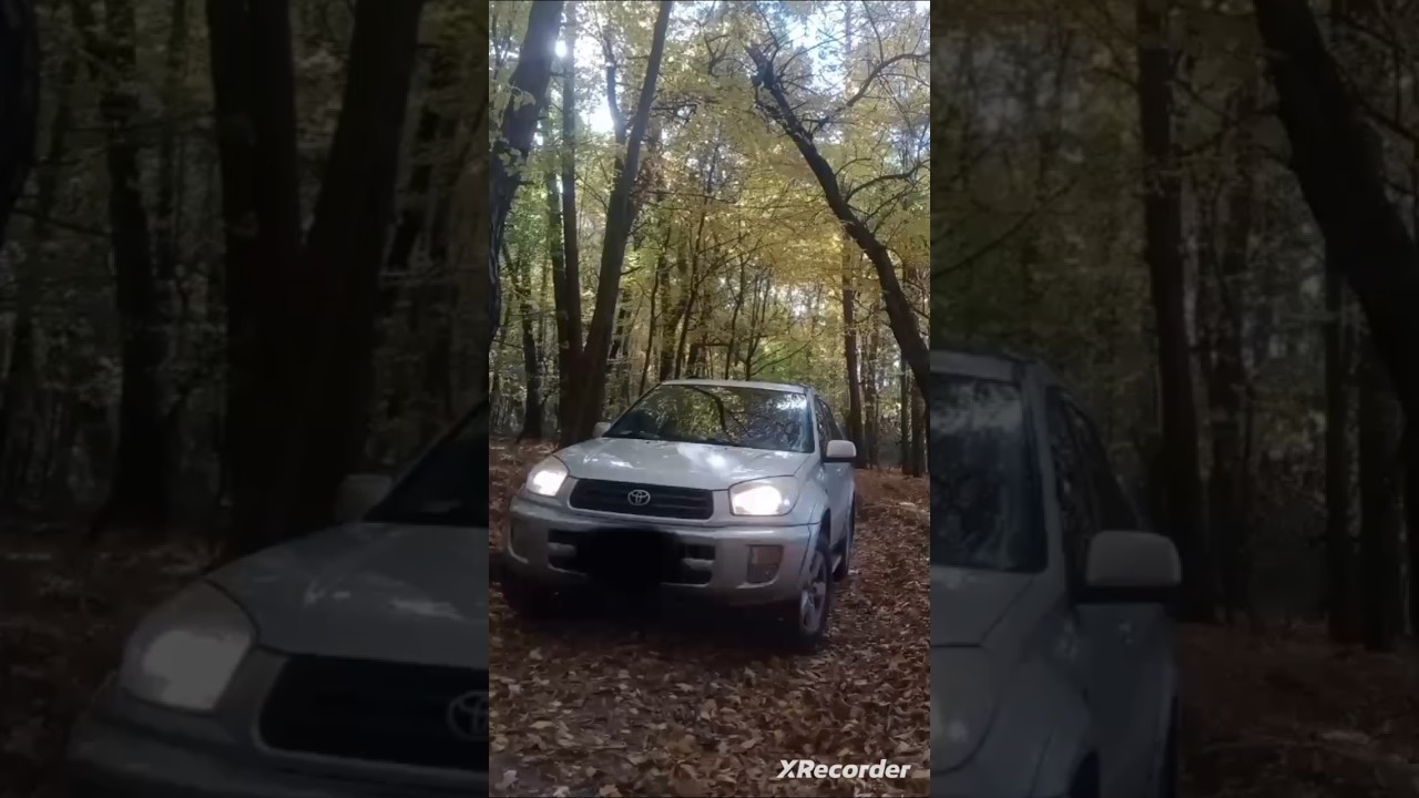 Forest RAV4 XA20!!!