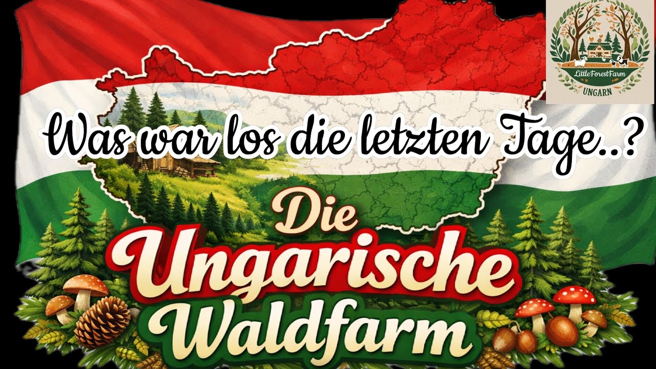 So geht's!🤫WAS war hier nur LOS?😮Im #SÄGEWERK!🪵Drei Tage voll in #ACTION🙏#ungarn🇭🇺#action⚠️#Waldfarm