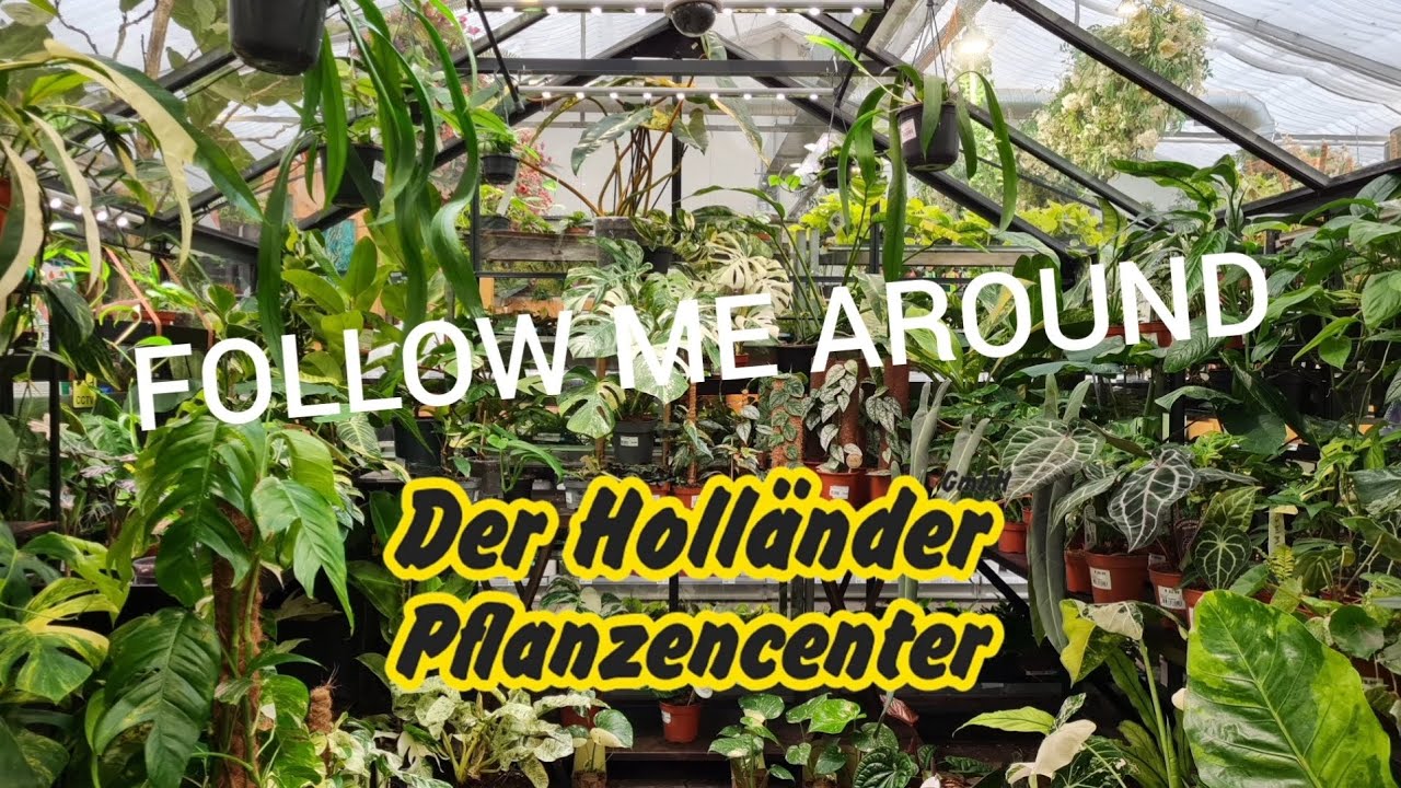 Follow Me Around 💚 | Der Holländer am Olympiastadion 🌱