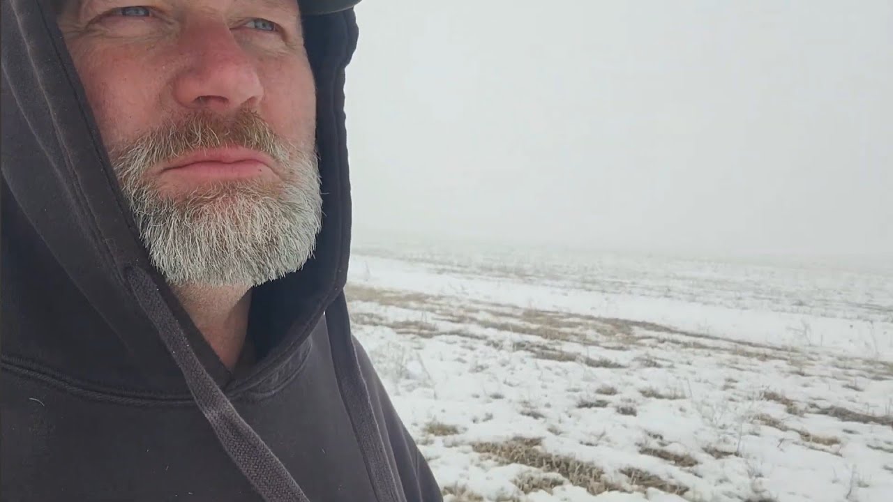 Рожь зелёная и растёт в феврале.