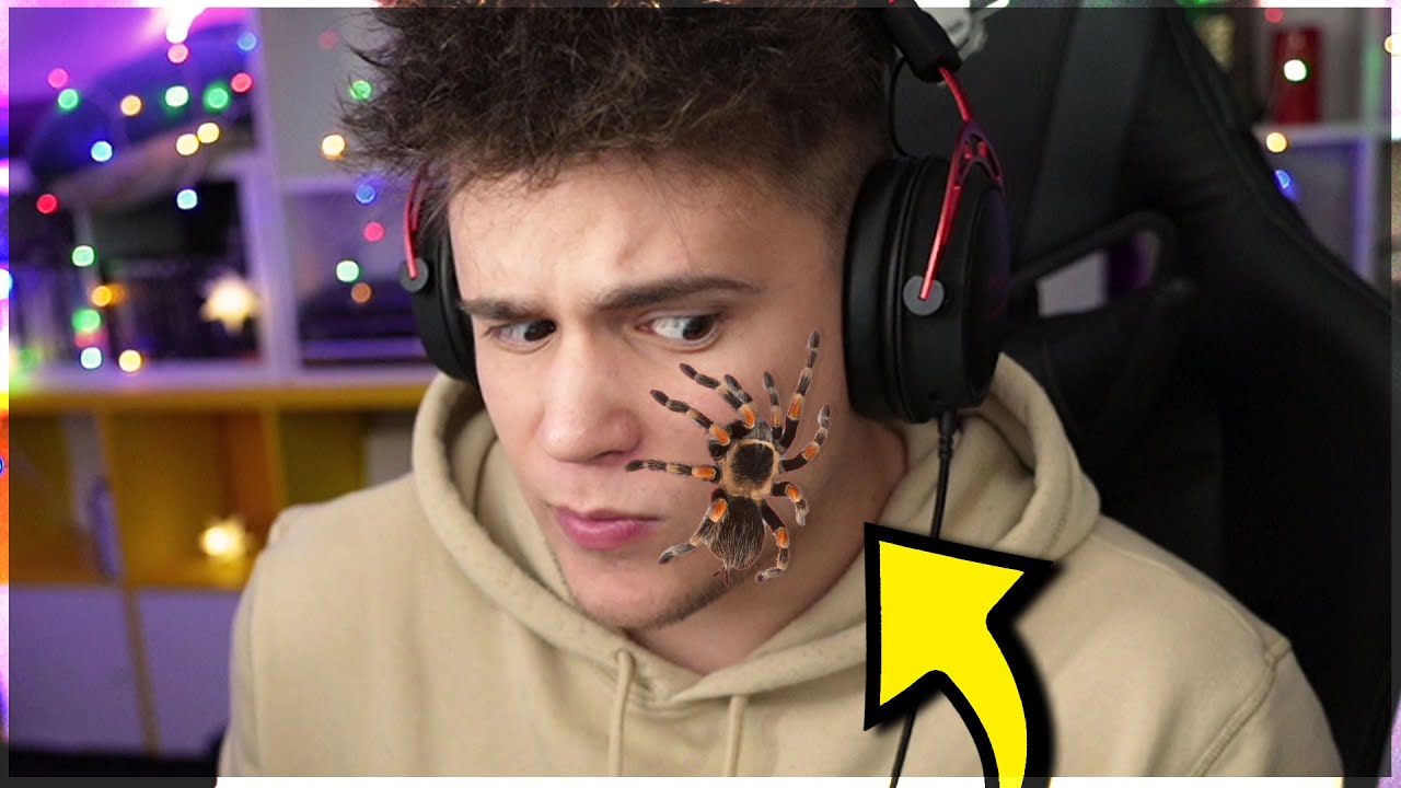 JEŻELI BOISZ SIĘ PAJĄKÓW, TO NIE OGLĄDAJ