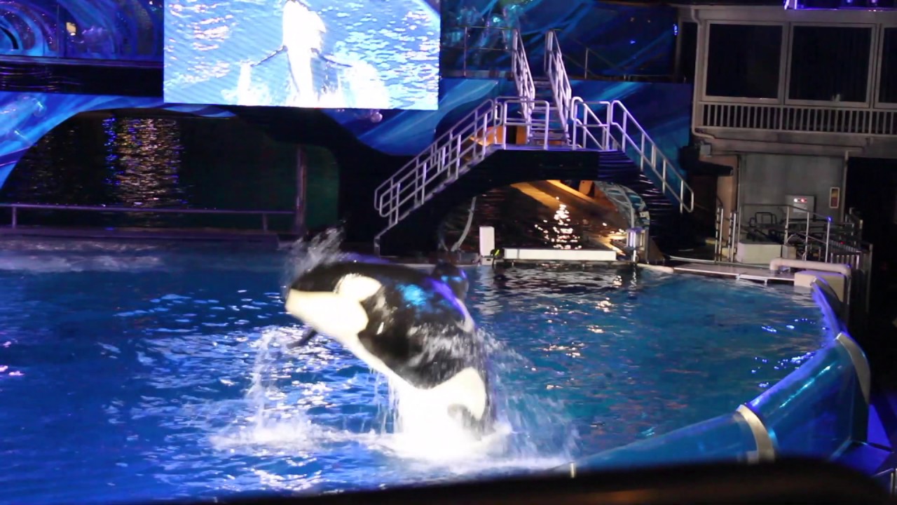 Billymyster Productions Presents - Seaworlds San Diego Final  Shamu's Christmas Miracles