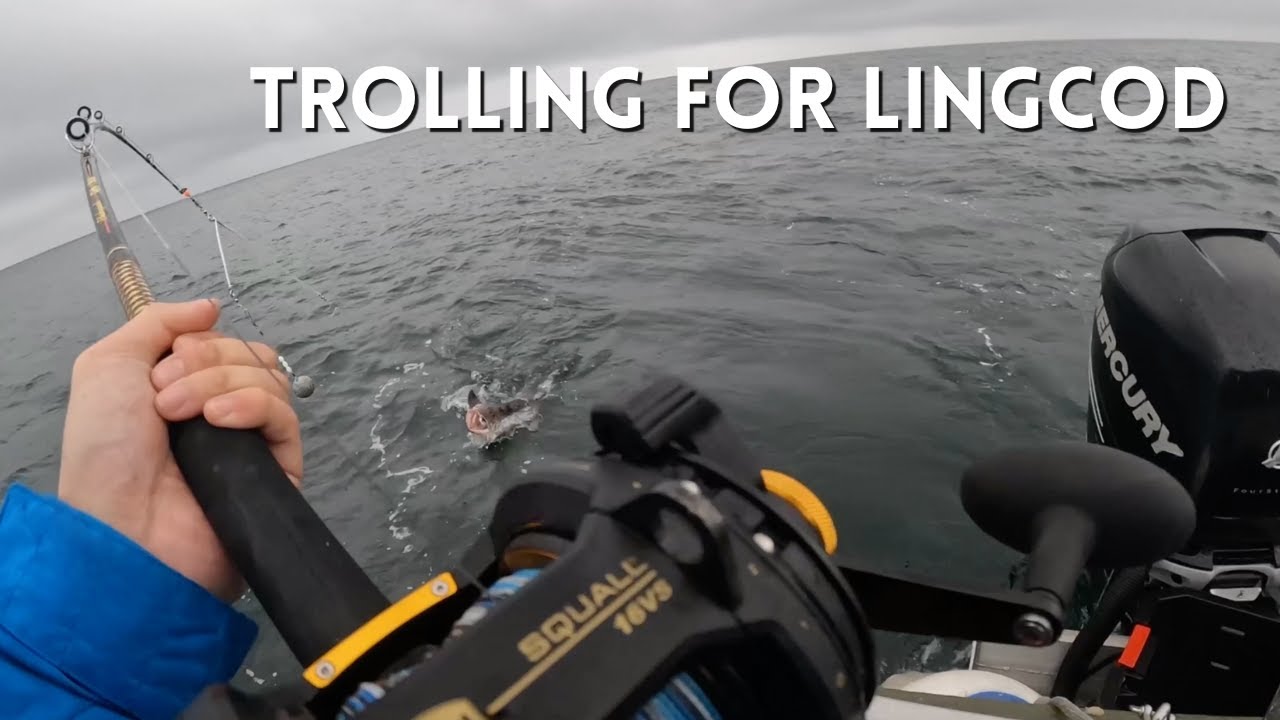 Epic Lingcod Fishing Adventure on Vancouver Island's West Coast!
