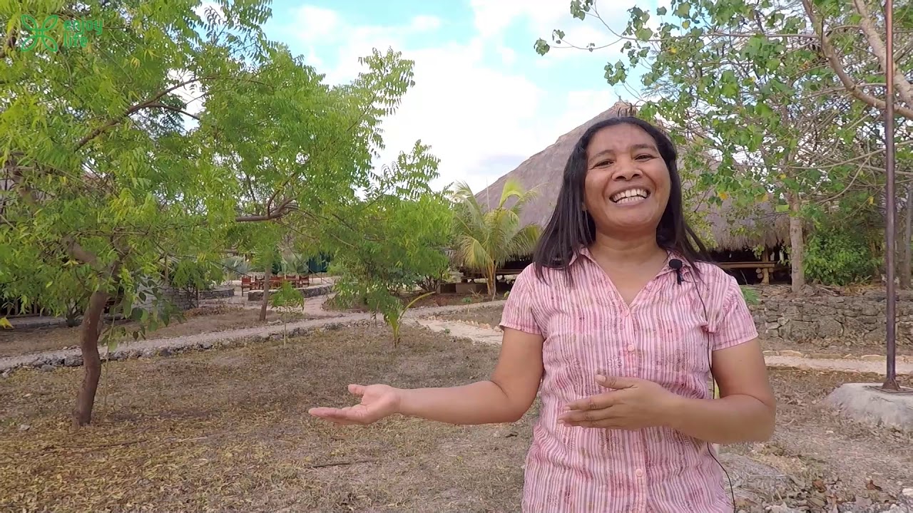 Sumba Hospitality Foundation Short Documentary