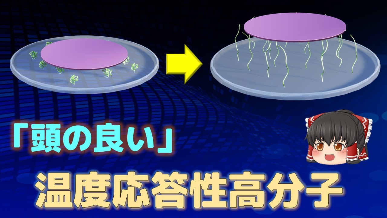 【ゆっくり解説】周囲の温度に応答する機能性高分子ー原理と応用ー